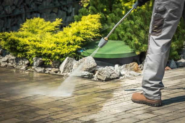 Best Gutter Cleaning  in Lake Kiowa, TX
