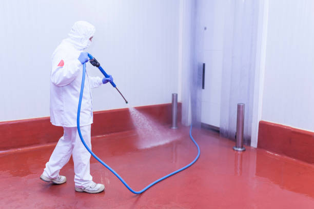 Best Paint Preparation  in Lake Kiowa, TX