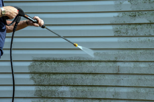 Best Sidewalk and Walkway Cleaning  in Lake Kiowa, TX